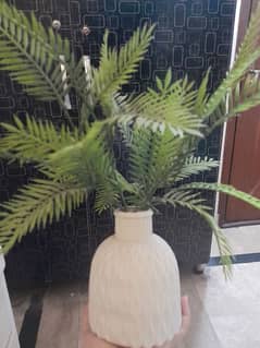 vases