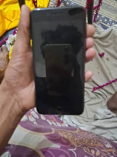 03704017074