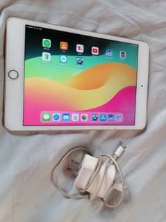 ipad mini 5