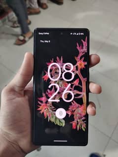 google pixel 6 8/128