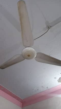 sk fan