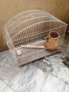 birds cages
