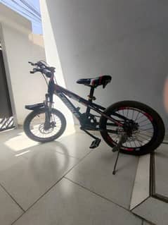 Bicycle