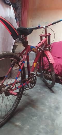 Stylish & Sturdy Bicycle | Lightly Used | Great Deal