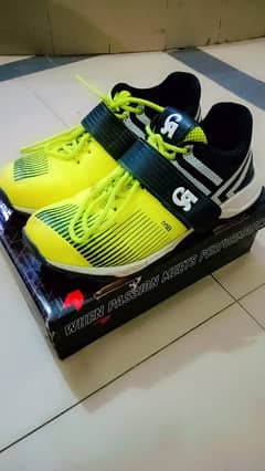 Ca shoes M8