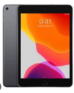 ipad mini 5