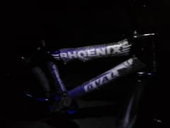Phoenix cycle for sale