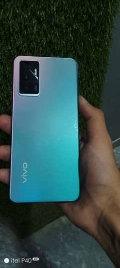 vivo