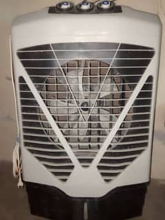 Condition Used