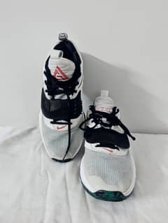Nike Zoom Freak 3 Basketball Shoes