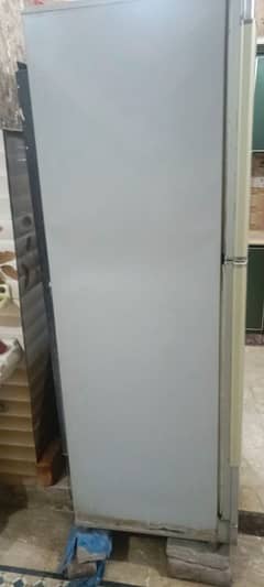 pel pel