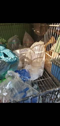 birds cages . pots . jhuly matki sb new hai munasib rate me