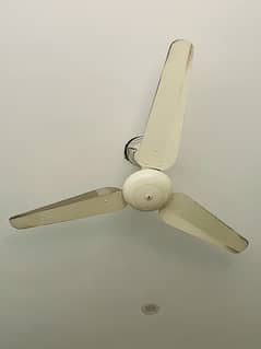 SK Fans For Sale "Standard Deluxe"
