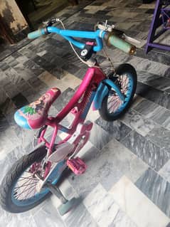 bicycle
