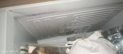 PEL Refrigerator