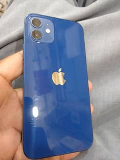 i phone 12