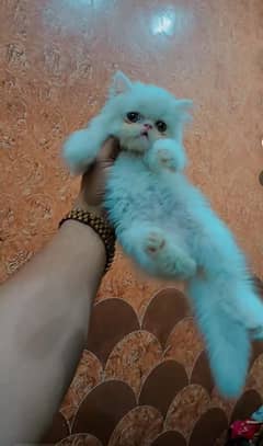 Piki