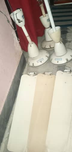 pak
