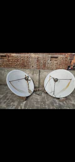 Dish Tv