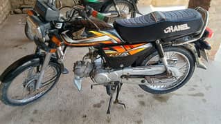 CD70