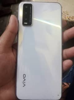 vivo