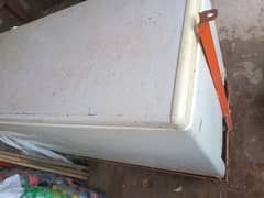 pel deep freezer