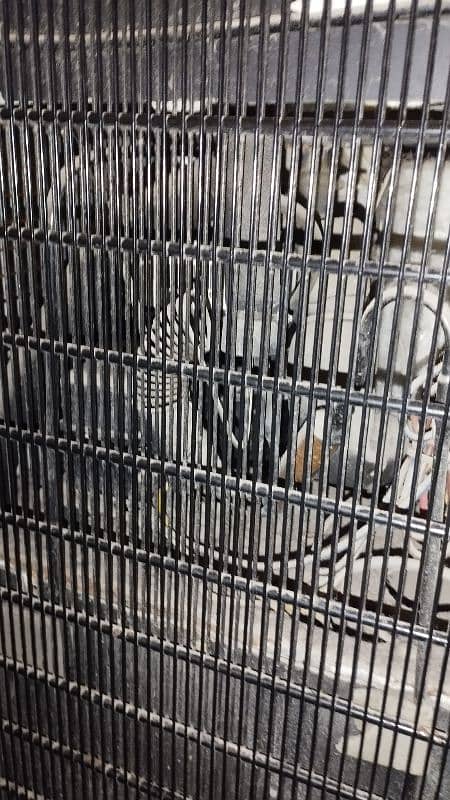 Orient water dispenser 11