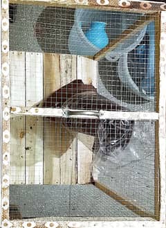 cage for sale  birds