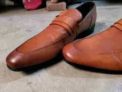 Aldo