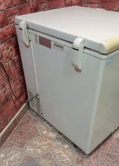 Haier