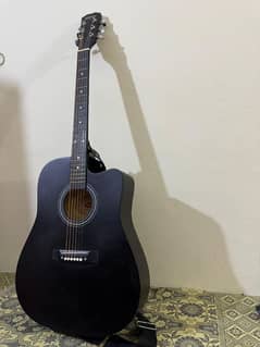 Washburn Guitar