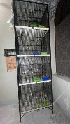 Birds cage for sale reasonable price