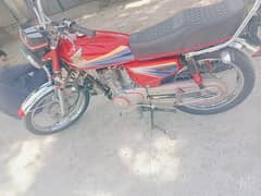 argnt sale