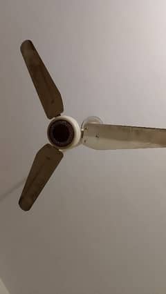 Sufi Ceiling fan 56 inch