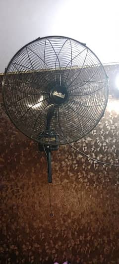 new