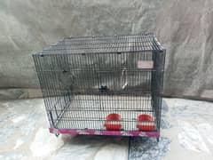 hen