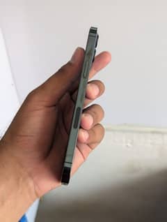 12 pro mex PTA Aproved