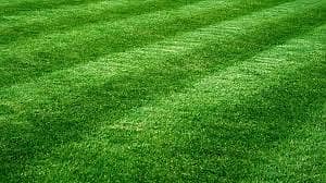 Grass/Astro turf/Synthetic grass/Sport net/Fake grass/bulk/green net 7