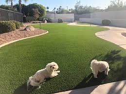 Grass/Astro turf/Synthetic grass/Sport net/Fake grass/bulk/green net 0