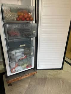 Sale orient freezer