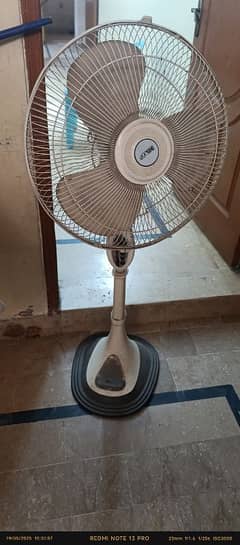 belvin fan