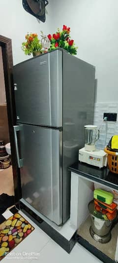 Refrigerator changhong RUBA      BIG size