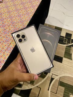 iphone 12 pro max 256 gb