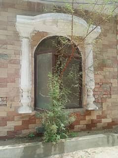 Kikkar