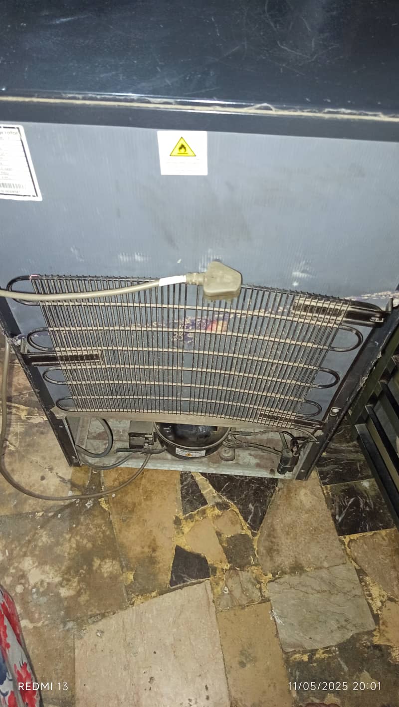 Downlance single door fridge ON Condation 5