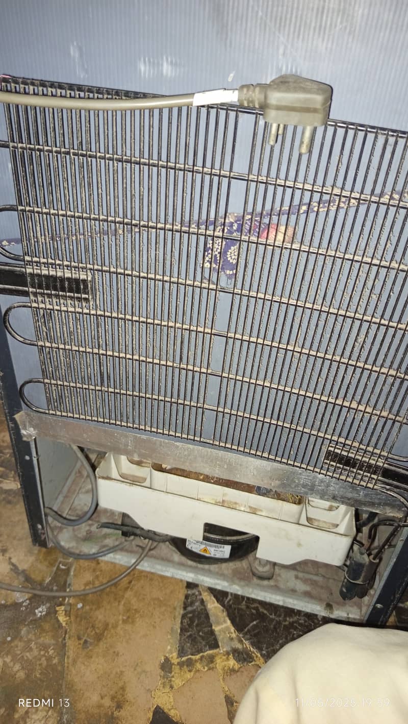 Downlance single door fridge ON Condation 7