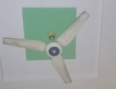 Fan for sale