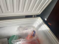 Waves Freezer – Spacious, Clean, & Fully Functional
