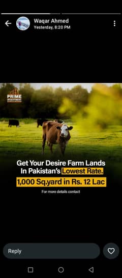 CATTLE FARM LAND