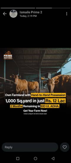 CATTLE FARM LAND